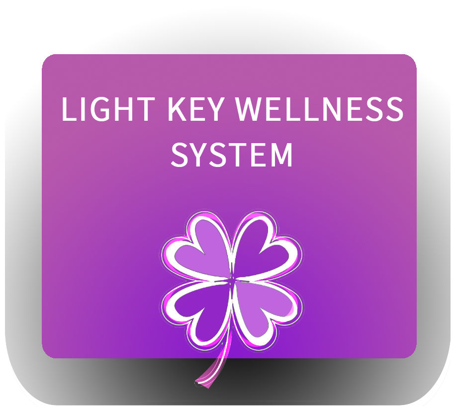 Light Key Wellness System Image