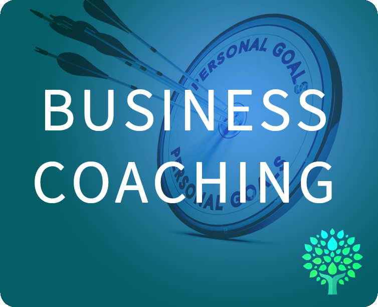 business coaching